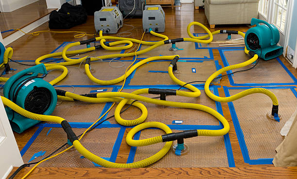 Professional Basement Flood Cleanup technician working in Clay Center, KS